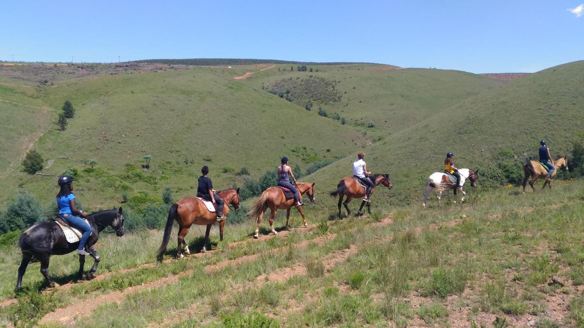 Rockydrift Nature Reserve Waterval Boven Exteriör bild